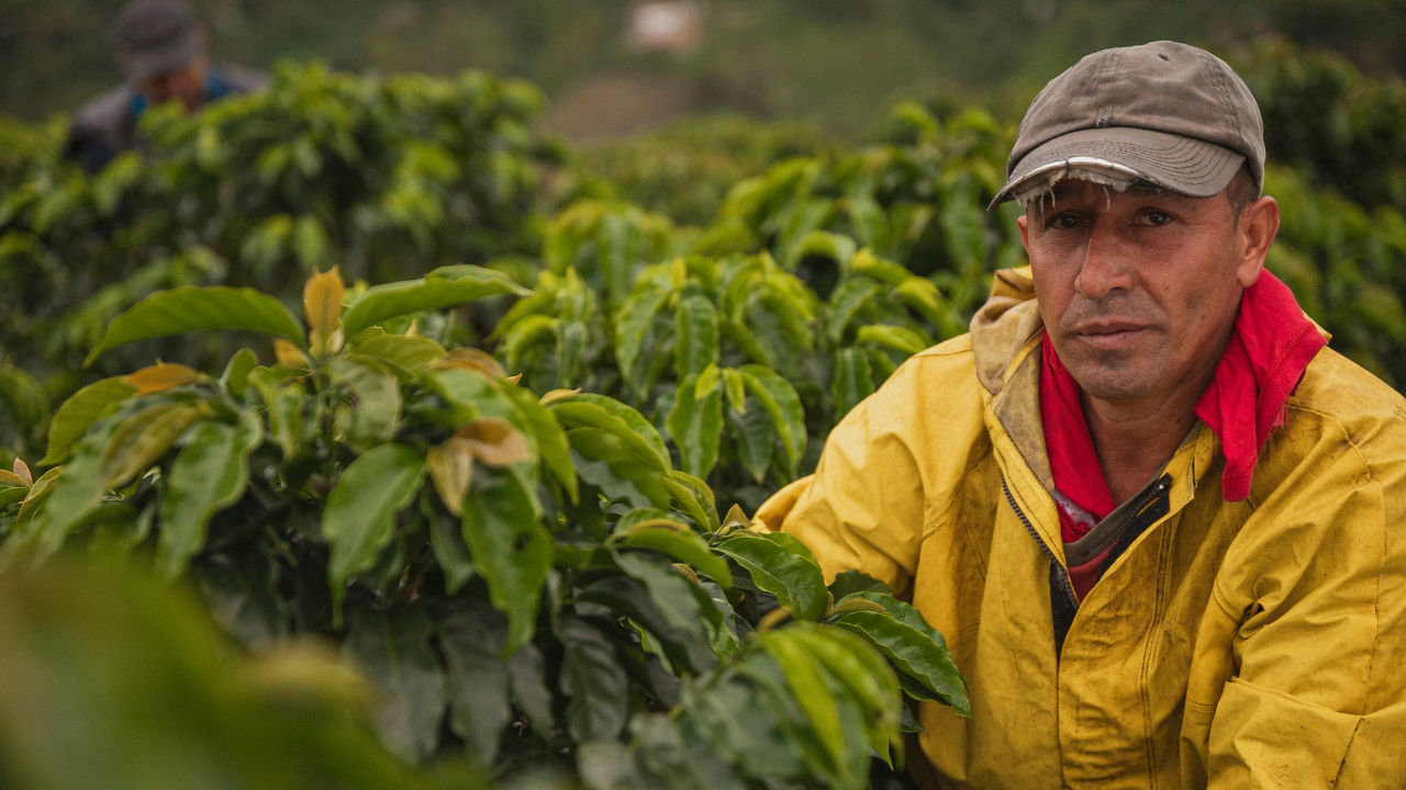 Mexican farmer wearing yellow jacket